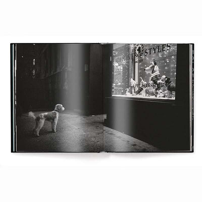 New York Street Diaries