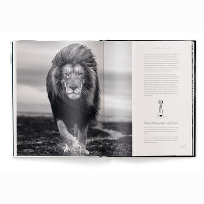 Beusker, Look Into my Eyes