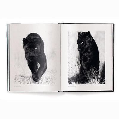 Beusker, Look Into my Eyes