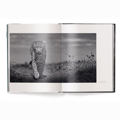 Beusker, Look Into my Eyes