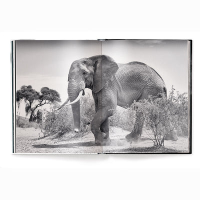 Beusker, Look Into my Eyes