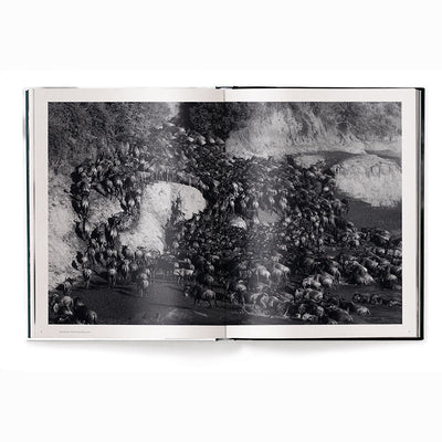 Beusker, Look Into my Eyes