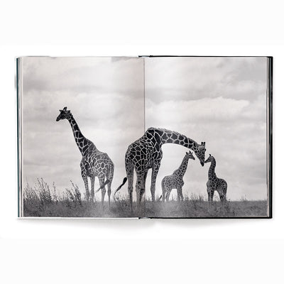 Beusker, Look Into my Eyes