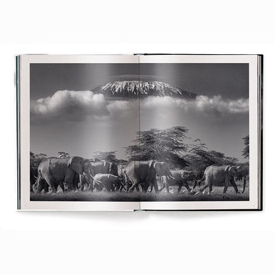 Beusker, Look Into my Eyes