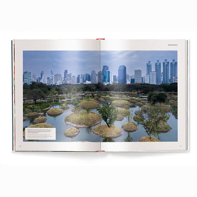 Megacities: Living in the World's Largest Cities