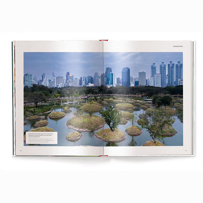 Megacities: Living in the World's Largest Cities