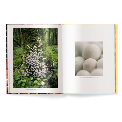 Wonderland, The Secret World of Mushrooms