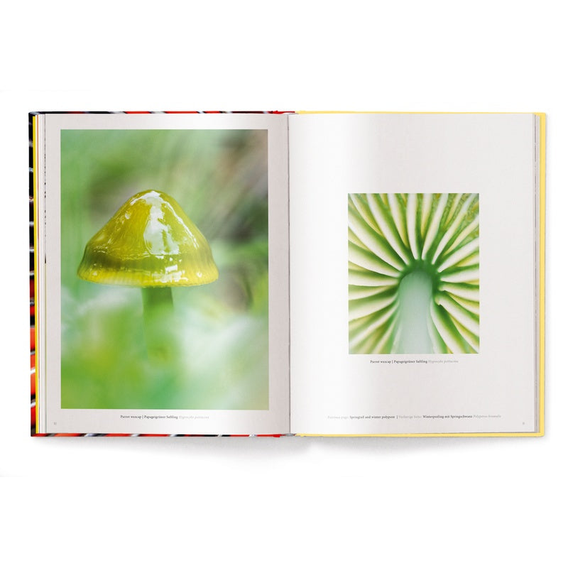 Wonderland, The Secret World of Mushrooms