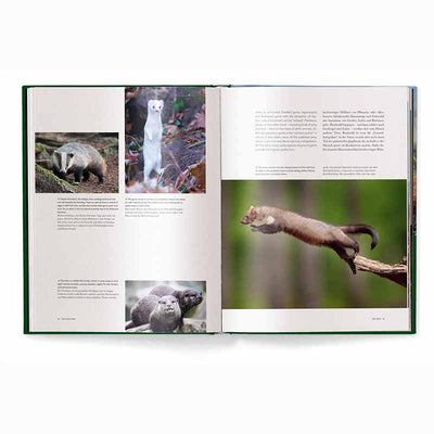 Hunting - The Ultimate Book