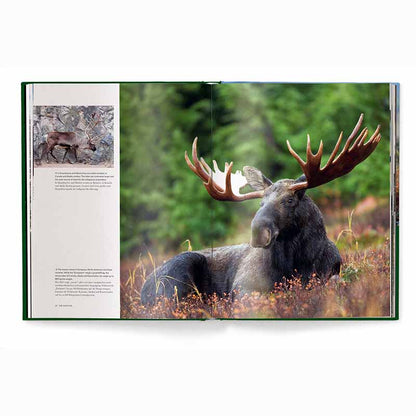 Hunting - The Ultimate Book