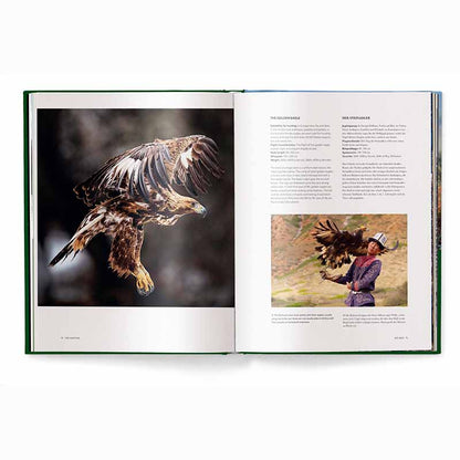 Hunting - The Ultimate Book