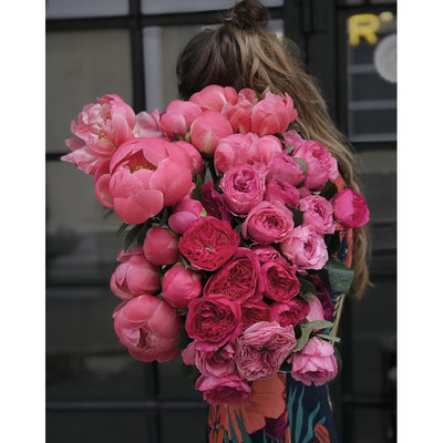 Peonies (Floramour)