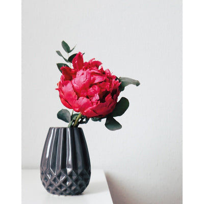 Peonies (Floramour)