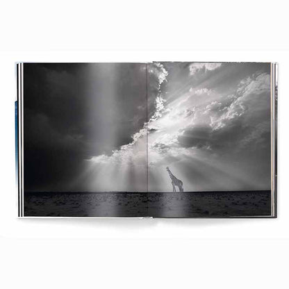 Creation, Masterpieces from the Natural World