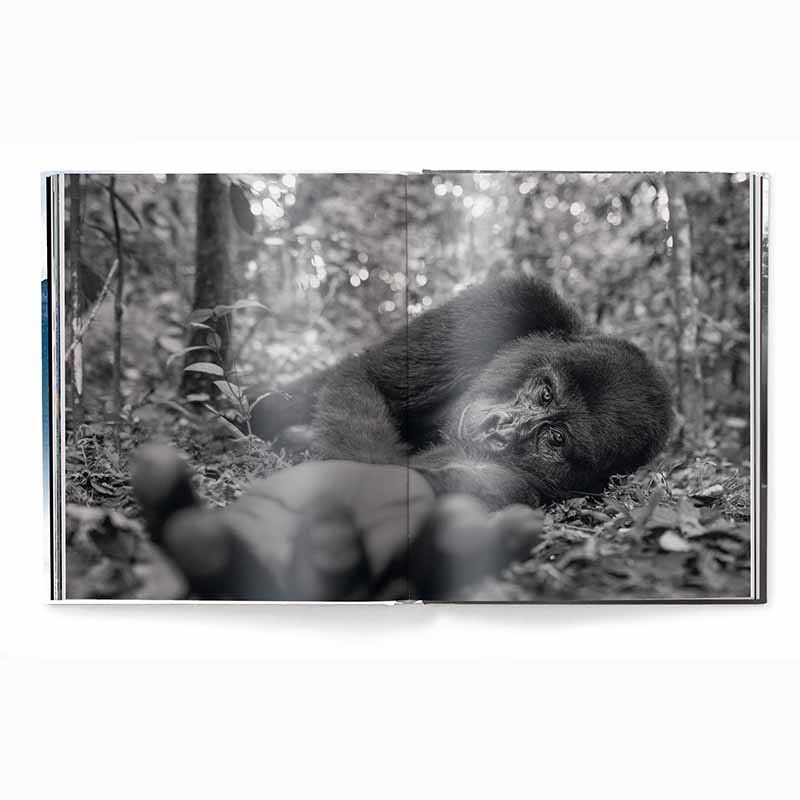 Creation, Masterpieces from the Natural World