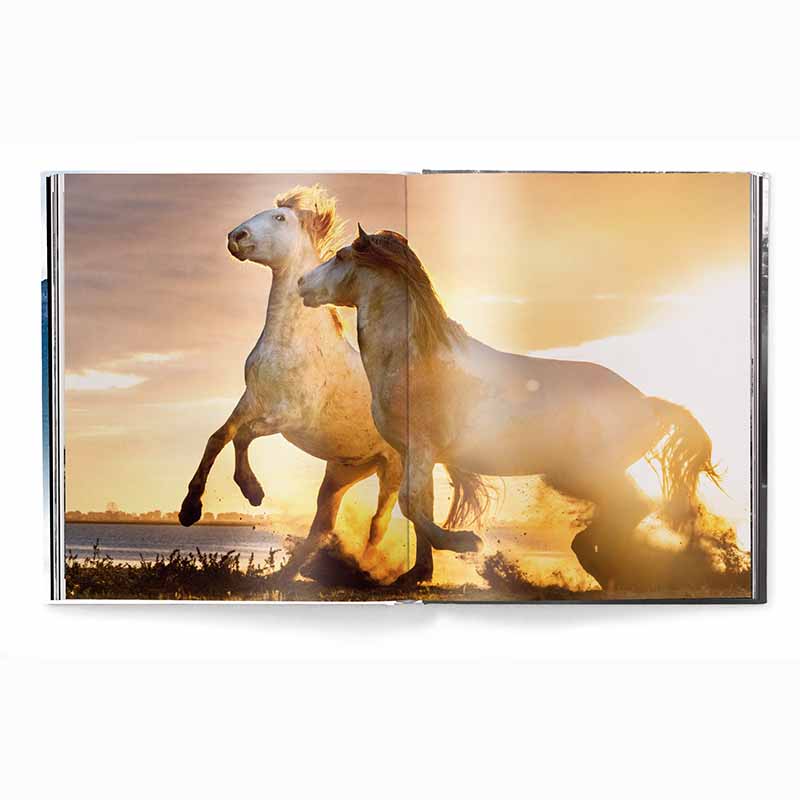 Creation, Masterpieces from the Natural World