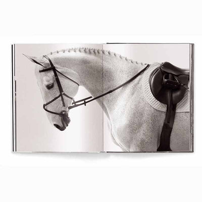 Untamed Spirits Horses From Around the World