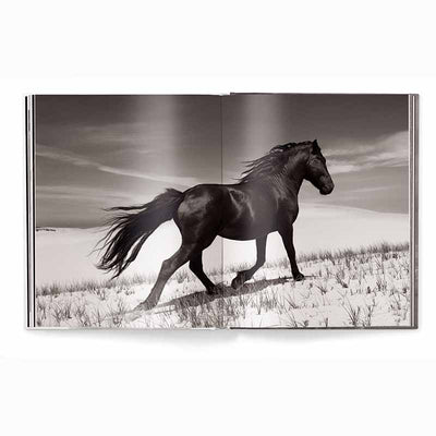 Untamed Spirits Horses From Around the World