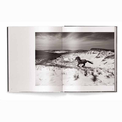 Untamed Spirits Horses From Around the World