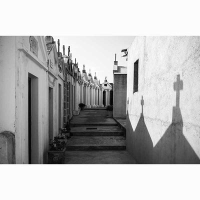 Life's Fragile Moments