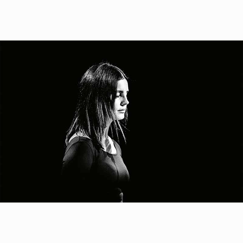 Life's Fragile Moments