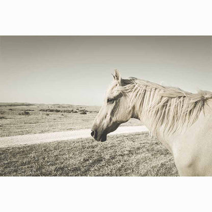 Life's Fragile Moments