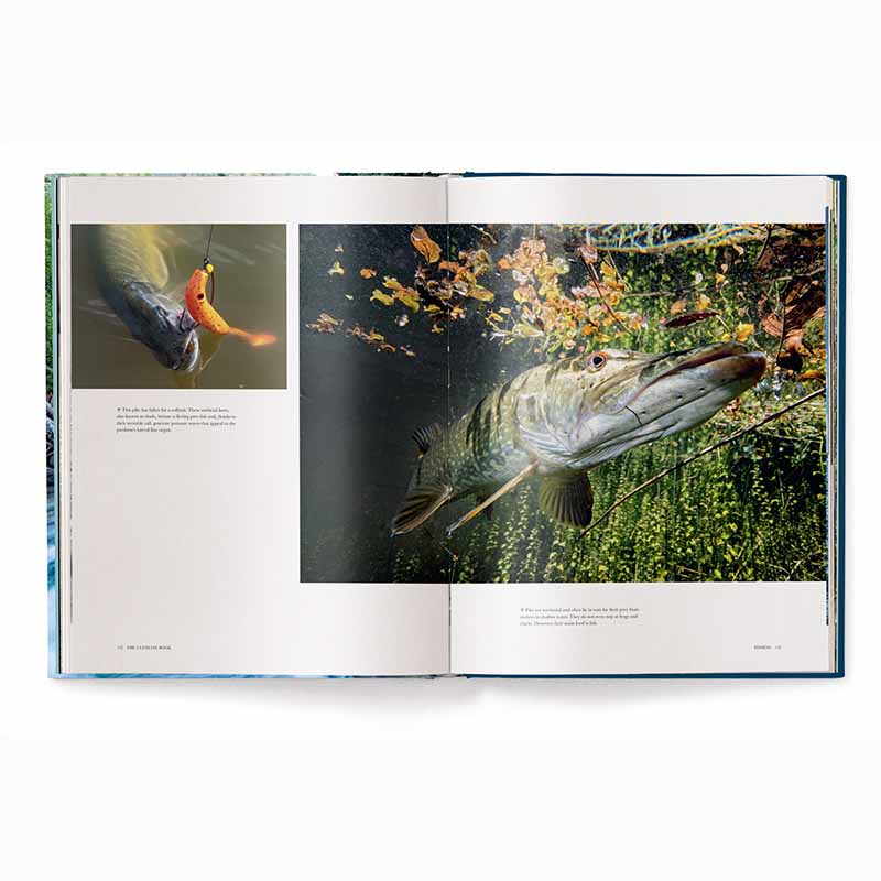 Fishing - The Ultimate Book