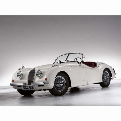 The Jaguar Book (Collectors Edition)