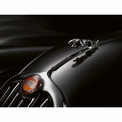 The Jaguar Book (Collectors Edition)