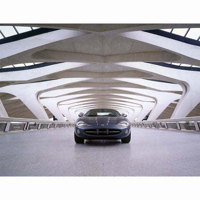 The Jaguar Book (Collectors Edition)