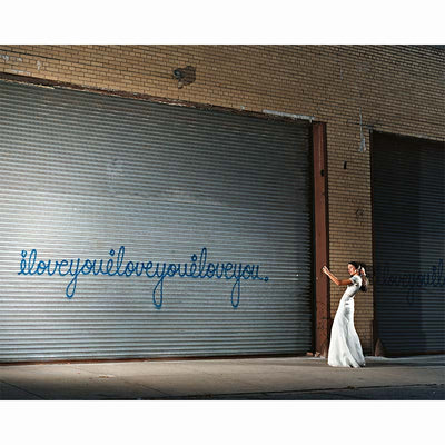 I Love New York, David Drebin