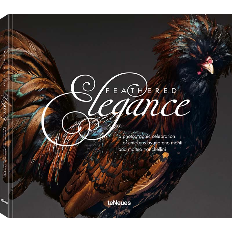 Feathered Elegance, A Photographic Celebration of Chickens