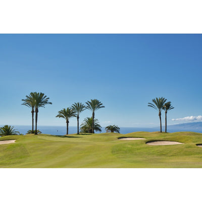 The Golf Book