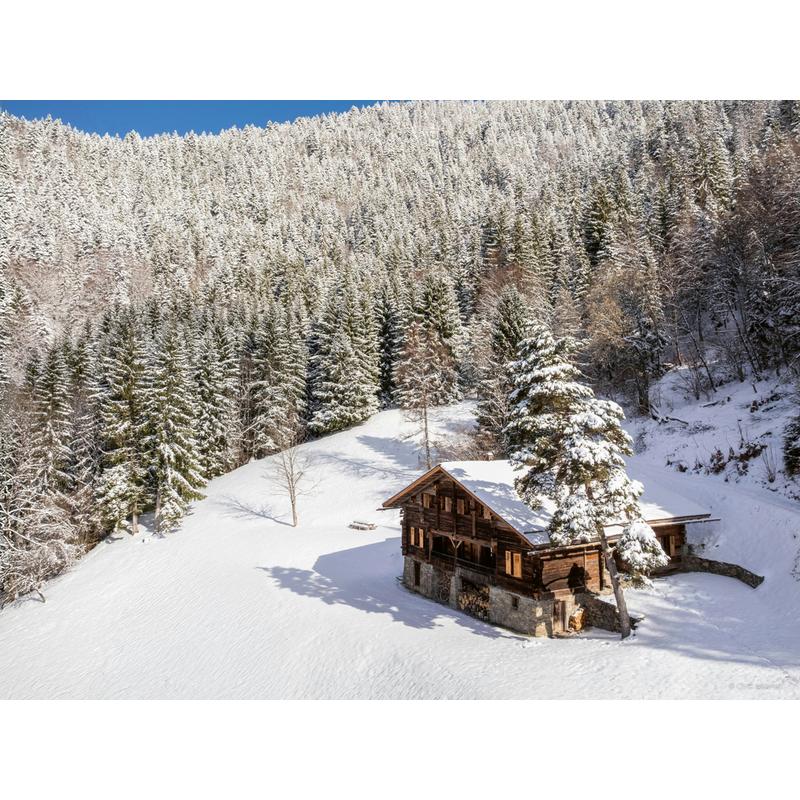 Living in Style Mountain Chalets
