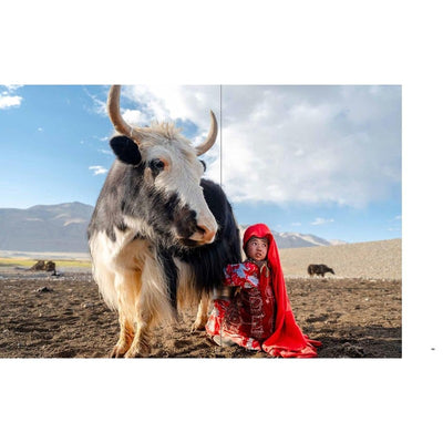 Afghanistan, Daniel Malikyar