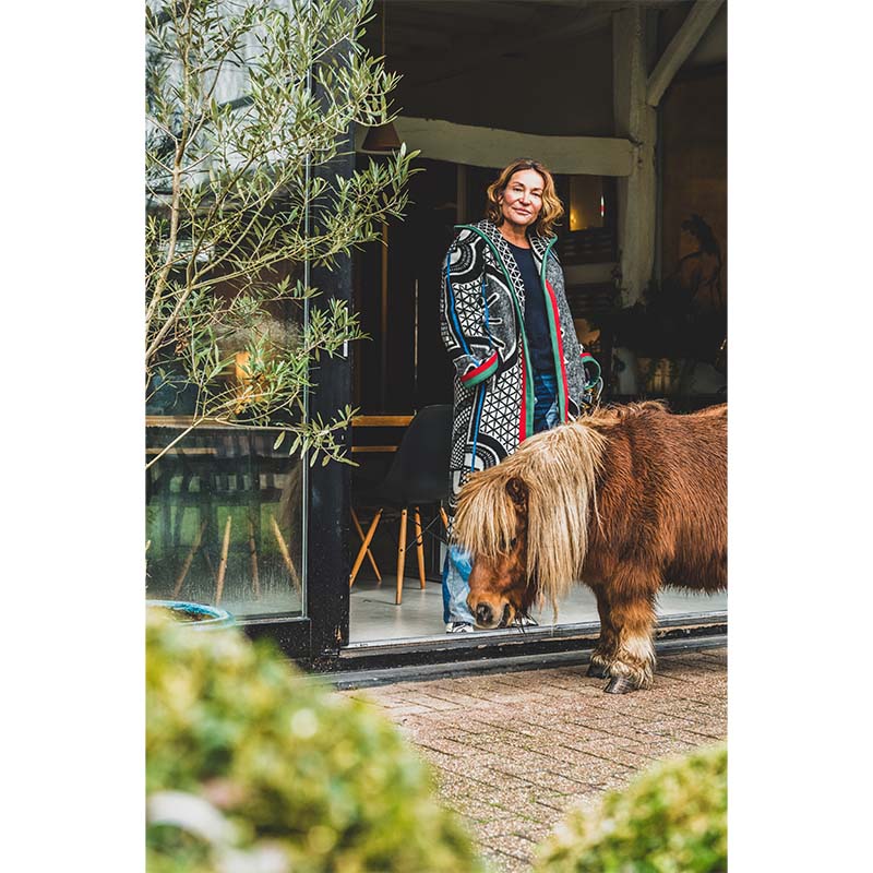 Creative Homes: Interiors and Design in Belgium