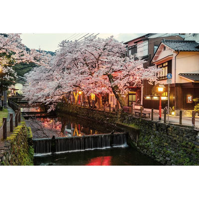 Onsen and Ryokan of Japan: Traditional Spa and Bathing Culture