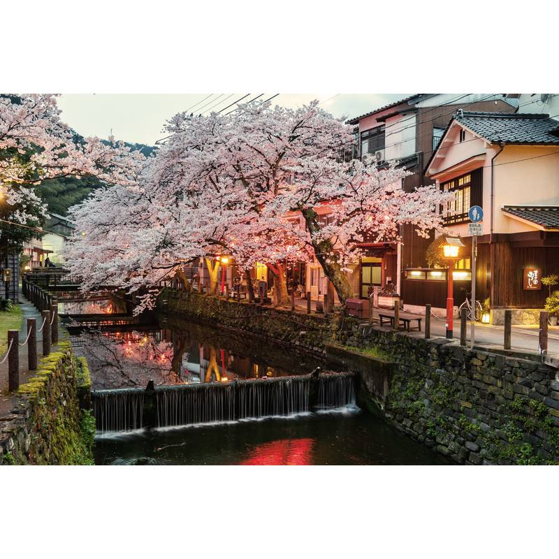 Onsen and Ryokan of Japan: Traditional Spa and Bathing Culture