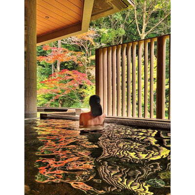 Onsen and Ryokan of Japan: Traditional Spa and Bathing Culture