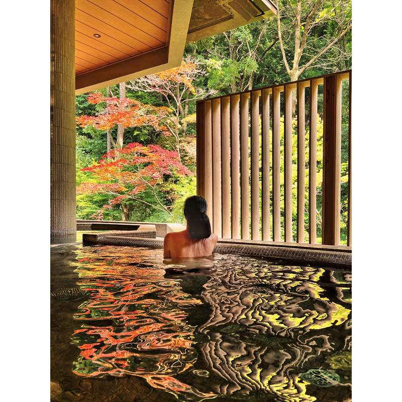 Onsen and Ryokan of Japan: Traditional Spa and Bathing Culture