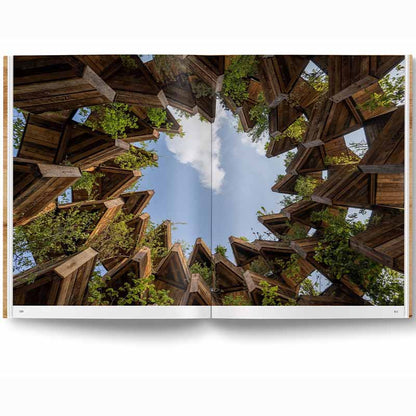 Wood Cozy Interiors for Timeless Living Spaces