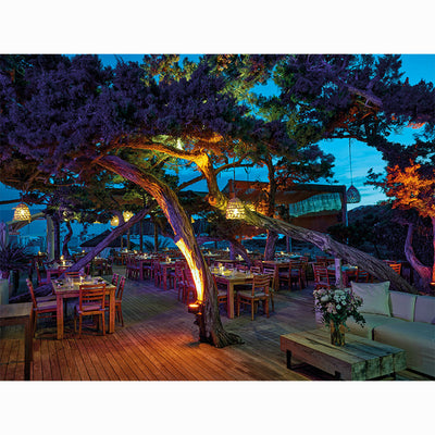 Ibiza the Coolest