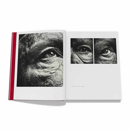 Malkovich - Then Came John | Limited Collectors Edition