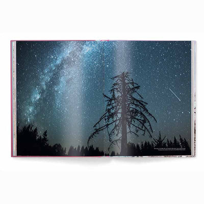 The Beauty of Ukraine