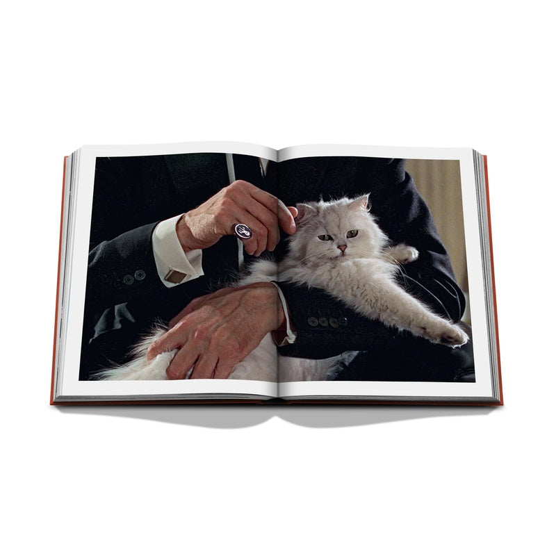Chic Cats