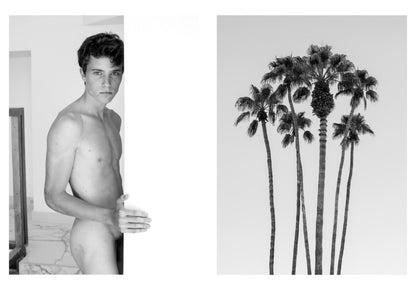 Irréversible, Stéphane Gizard