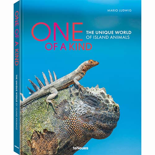 One of a Kind