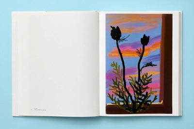 My Window, David Hockney