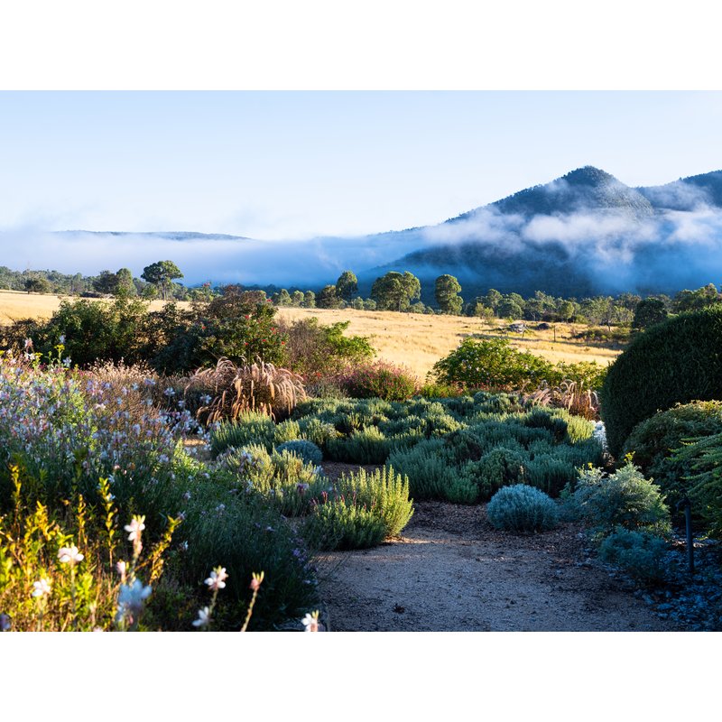 Cottagecore Gardens: A New Take on Living Landscapes