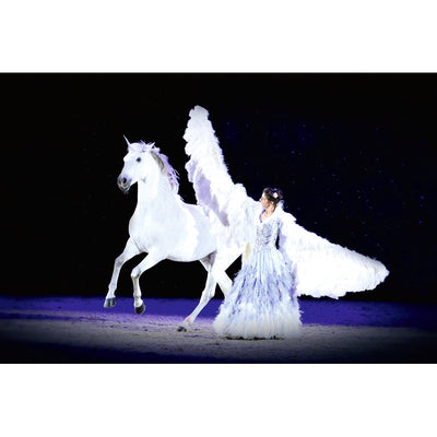Equestrian - The Ultimate Book